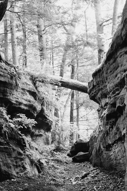 Black and white forest scene with fallen log spanning between rocky outcrops and bare trees.