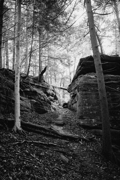Dense forest path with bare trees and large rock formation in black and white.