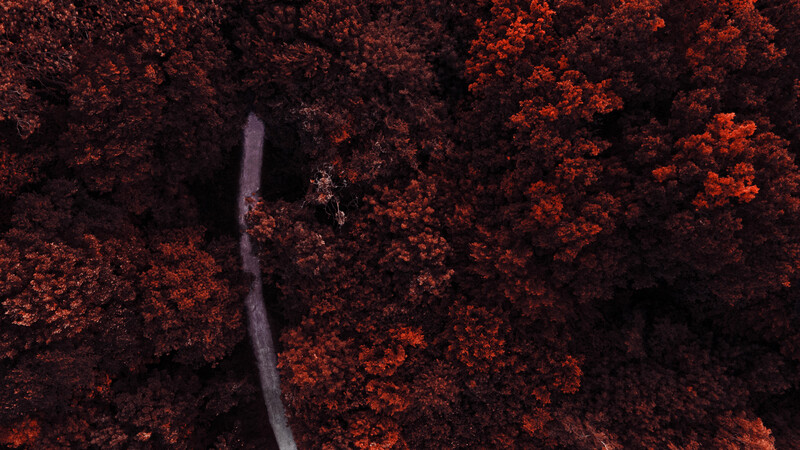 Aerial view of a winding river cutting through dense forest with warm red and orange autumn foliage.