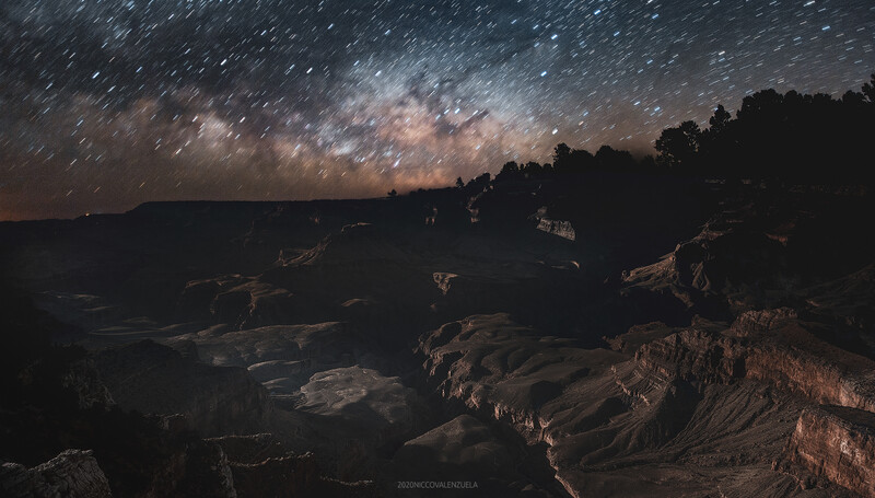 Milky Way galaxy arching over a vast canyon landscape at night with silhouetted trees and rock formations.