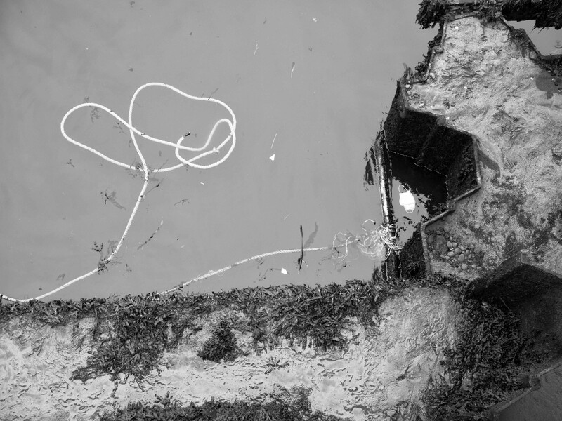 Black and white underwater photograph showing a delicate spiral tube structure and weathered concrete ruins on the seafloor.