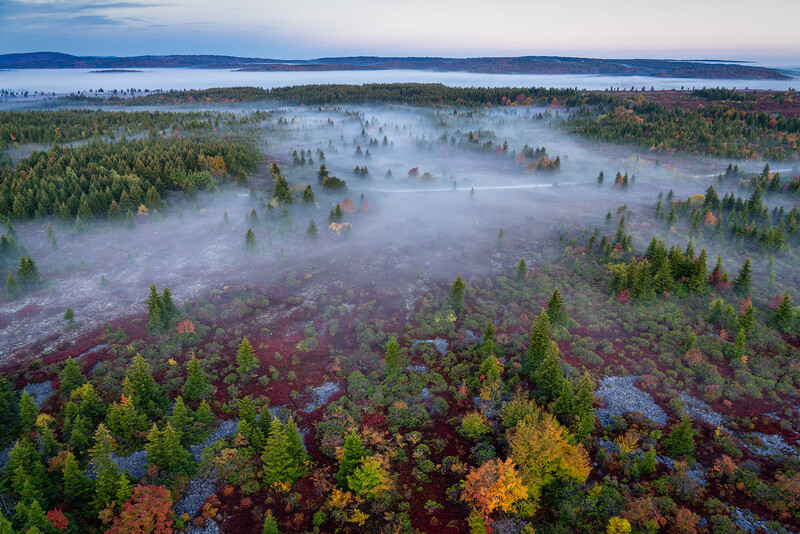 Aerial view of a forested landscape with morning mist rising from a wetland valley dotted with evergreen and autumn-colored trees.