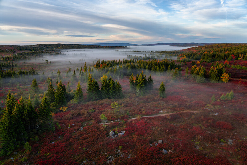 Aerial view of boreal forest with autumn foliage surrounding a large lake at dusk.