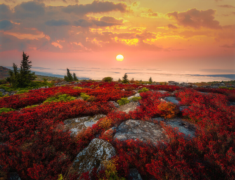Rocky alpine terrain covered in vibrant red vegetation beneath a golden sunset sky.