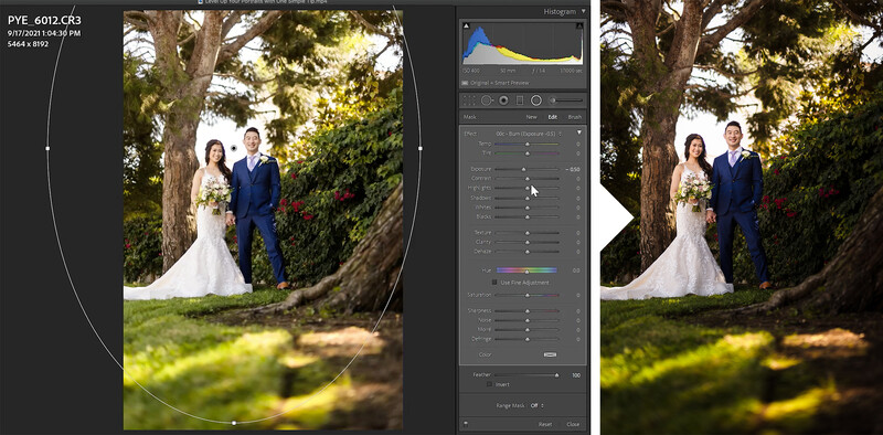 Wedding couple posing under large tree with Lightroom adjustment panel visible on right side of screen.