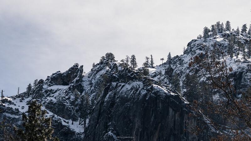 Snow-covered rocky mountain peaks with scattered evergreen trees under overcast sky.