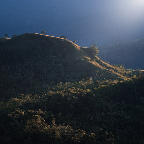 Forested mountainside illuminated by golden sunlight against a deep blue sky with atmospheric haze.