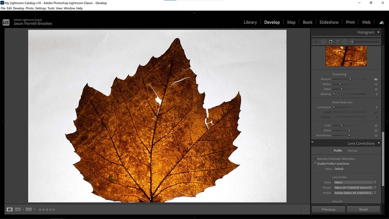 Alt click panes in lightroom