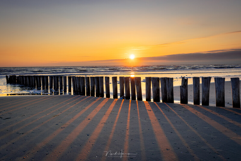 Wooden pilings cast long shadows across wet sand at sunrise over the ocean.