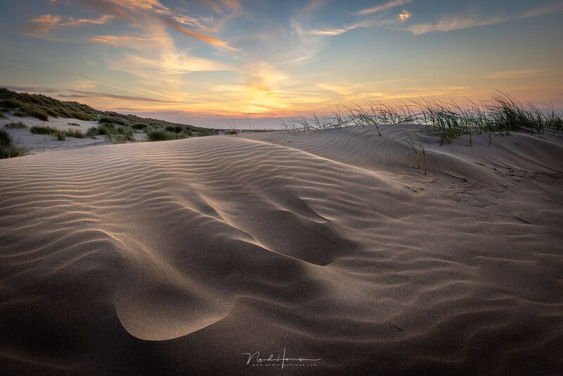 Sand dunes with rippled texture at sunset, golden light illuminating the landscape with beach grass and vegetation on the horizon.