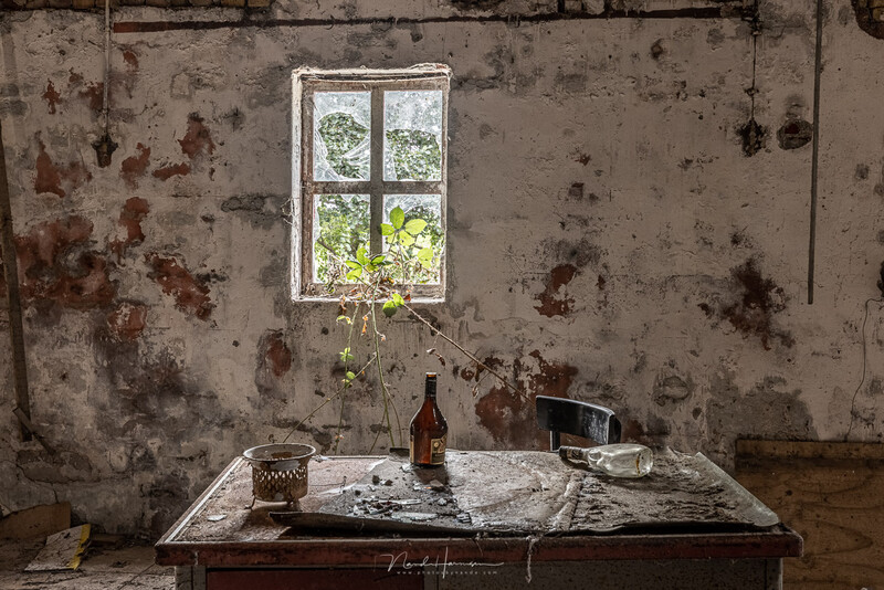Deteriorated interior room with a table holding a bottle and objects, framed by a window showing greenery beyond.