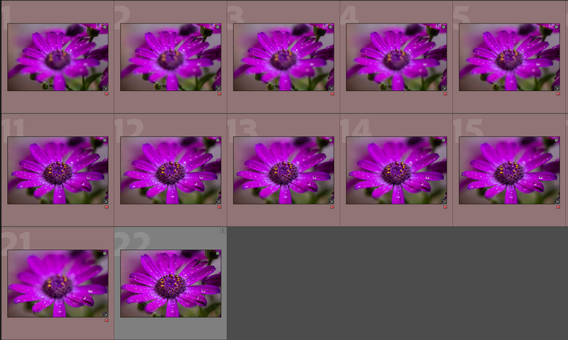 Screenshot showing a grid of 12 magenta daisy-like flowers with dark centers arranged in rows.