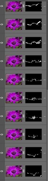 Series of side-by-side comparisons showing magenta floral photographs with corresponding white silhouette masks on black backgrounds.