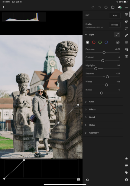 Screenshot of photo editing software displaying stone statues with ornate detail tools visible in the right panel.