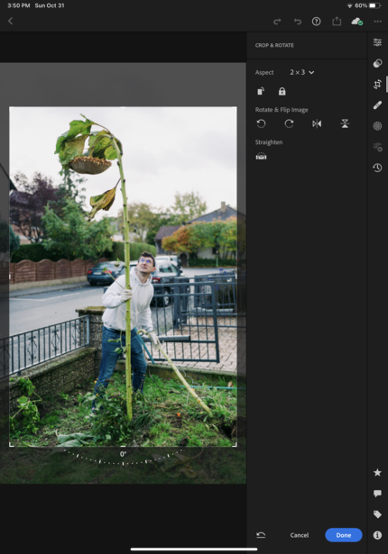 Woman holding large leafy plant while standing on residential bridge over water.