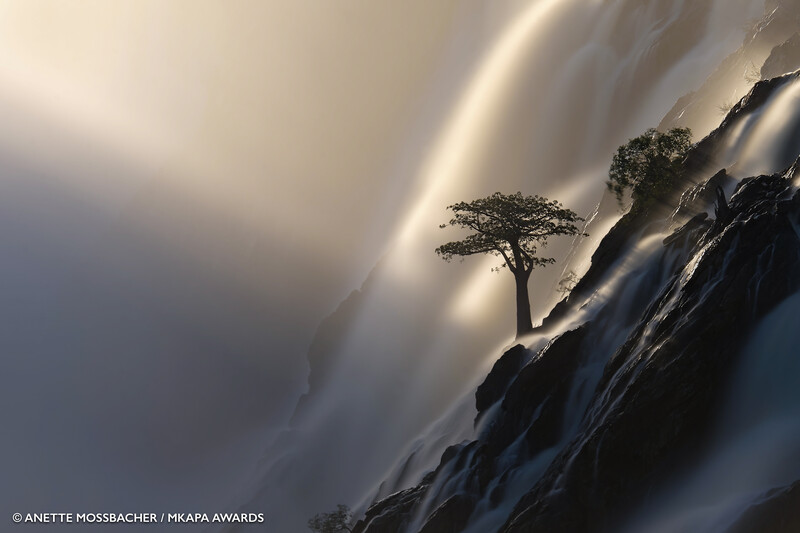 Solitary tree silhouetted on a rocky cliff edge with dramatic waterfall mist in background.