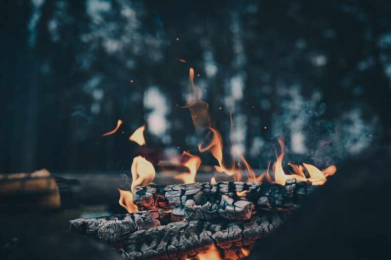 Campfire with glowing flames and charred logs against a dark, blurred forest background.