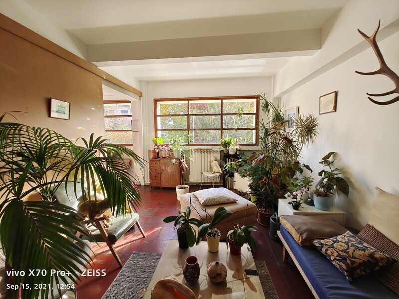 Bright interior space filled with potted plants and natural light from large windows.