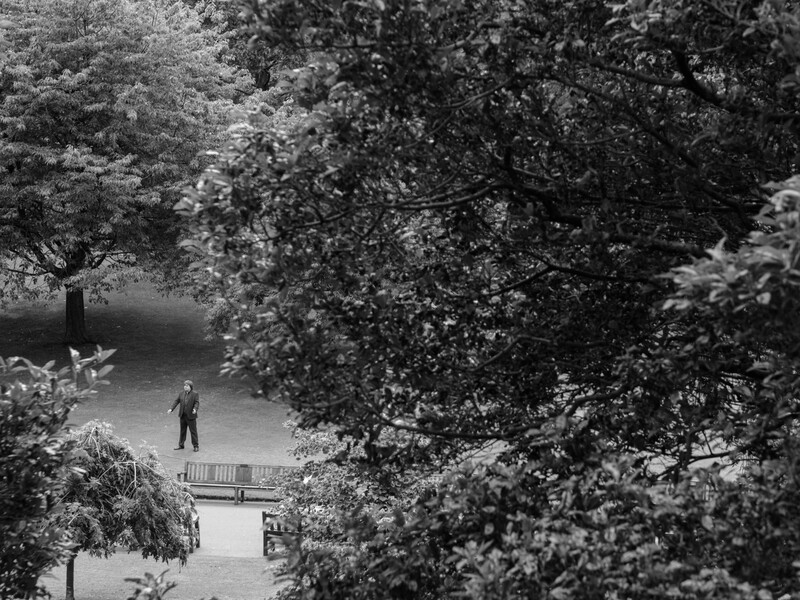 Person standing on a small bridge viewed through dense foliage in a black and white photograph.