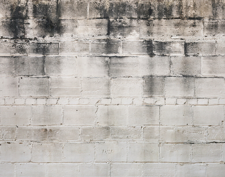 Weathered white painted brick wall with dark water stains and mold growth in upper portion.