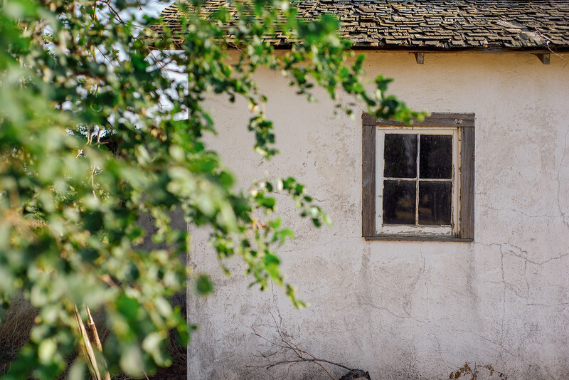 Weathered whitewashed cottage wall with dark-framed window, framed by soft ivy foliage.