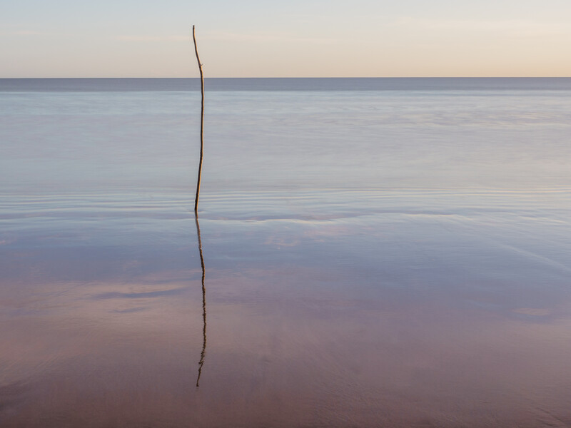 Single curved branch or stick protruding vertically from still water at twilight.