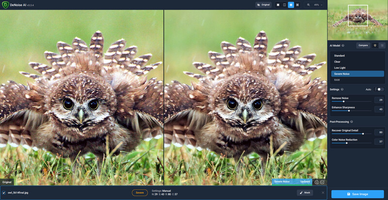 Screenshot of photo editing software showing side-by-side comparison of an owl with feathered wings spread, with adjustment panels visible on the right.