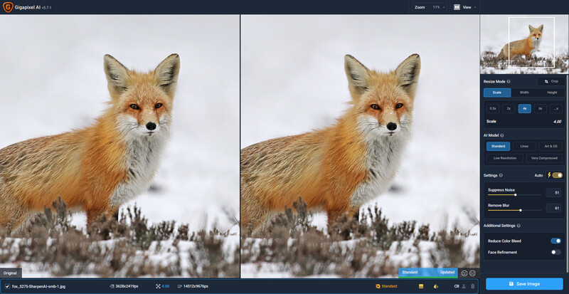 Screenshot of Repairit AI showing before and after comparison of a red fox portrait with adjustment controls visible.