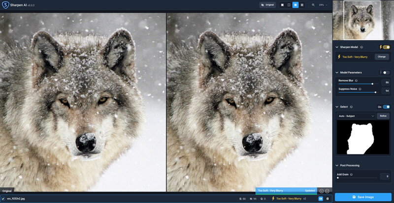 Gray wolf's face covered in snow, frontal close-up portrait with intense forward gaze.