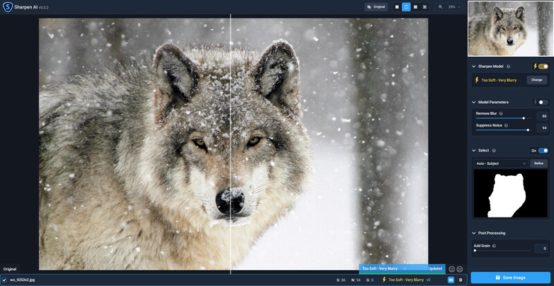 Gray wolf's face in falling snow, with intense gaze directly toward camera.