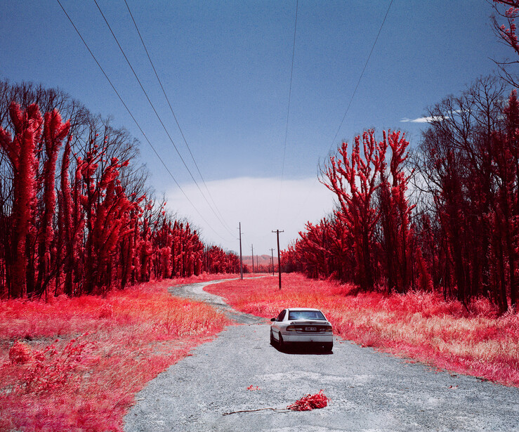 Car driving down a straight road lined with infrared-processed trees glowing red against a clear sky.