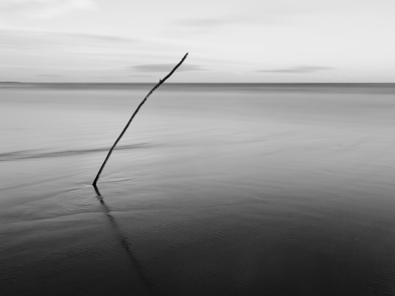 Curved wooden stick or driftwood angled in still water under overcast sky.