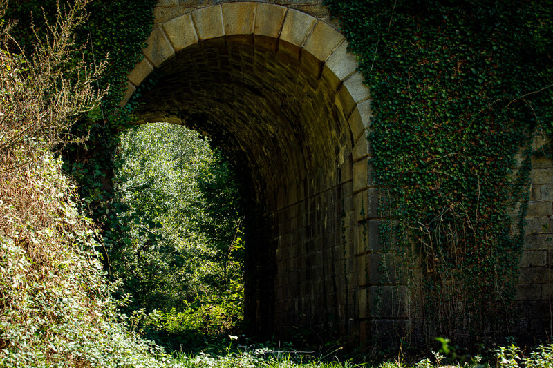 Stone archway overgrown with ivy and climbing vines, framing a bright green view beyond.