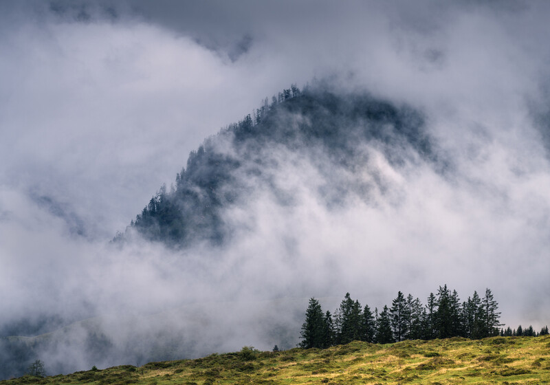 Mountain peak shrouded in thick clouds with evergreen forest in foreground under overcast sky.