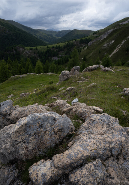 Rocky boulders scattered across alpine meadow with forested valley and mountains under cloudy sky.