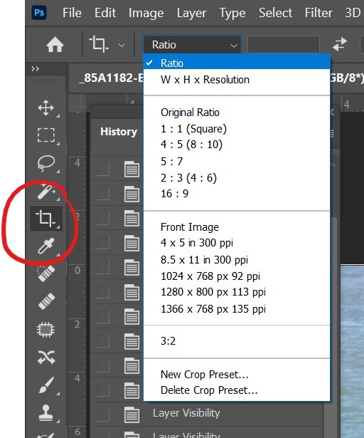 Screenshot of Photoshop's Image menu showing crop ratio options and presets.