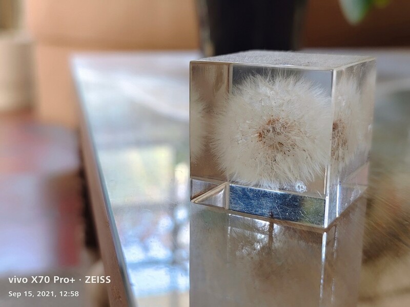Clear acrylic resin cube containing a dandelion seedhead and blue pigment layer.