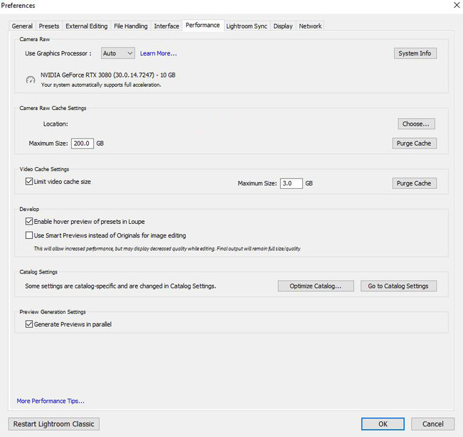 Screenshot of graphics preferences panel showing GPU settings, cache options, and rendering configurations.