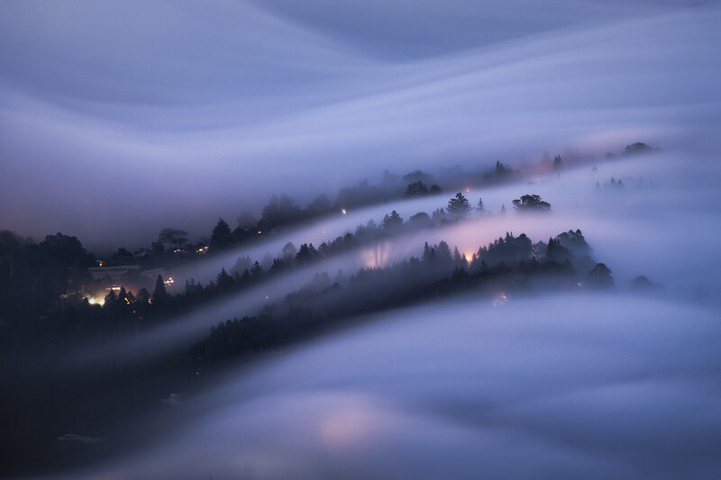 Hillside dotted with evergreen trees emerging from thick fog at twilight, with scattered warm lights glowing through the mist.