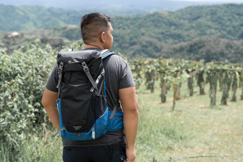 Hiker wearing blue and black backpack overlooking terraced vineyard slopes in mountainous valley.