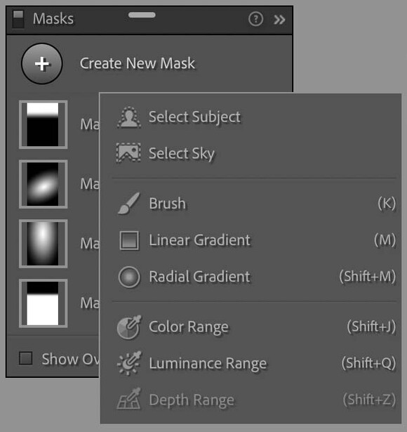 Screenshot of Masks panel showing dropdown menu with selection and adjustment tools.