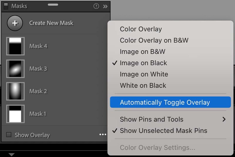Screenshot of Photoshop's Masks panel showing overlay options and mask thumbnails.