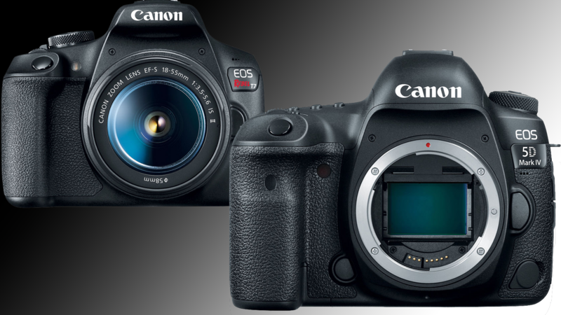 Canon EOS Rebel T8i with 18-55mm lens next to Canon EOS 5D Mark IV body, both viewed against neutral gray background.