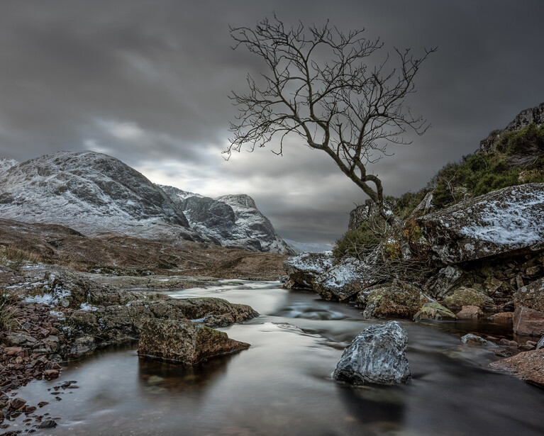 Solitary bare tree beside a still stream with snow-covered mountains under stormy skies.