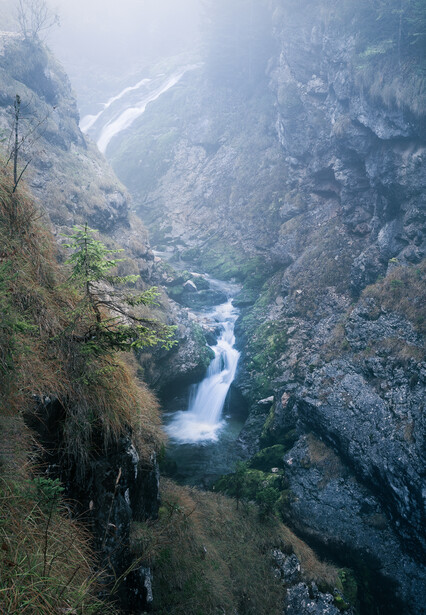 Misty mountain gorge with a cascading river flowing between steep rocky cliffs and sparse evergreen trees.
