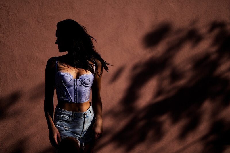 Silhouetted woman in corset standing against textured brown wall with dramatic shadow cast to the right.