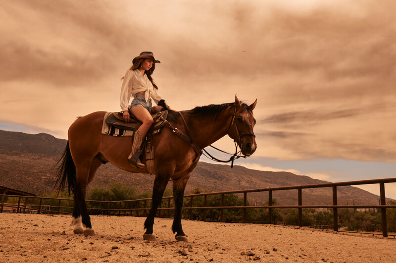 Cowgirl sitting on a dark brown horse in a desert landscape with golden-hour lighting.