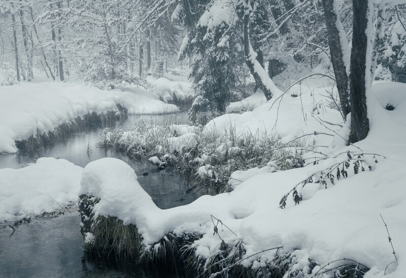 Snow-covered stream winding through a winter forest with evergreen and bare trees.