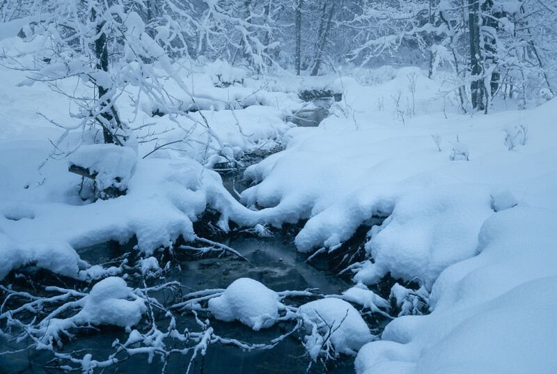 Snow-covered stream flowing through a winter forest landscape with frost-laden trees.