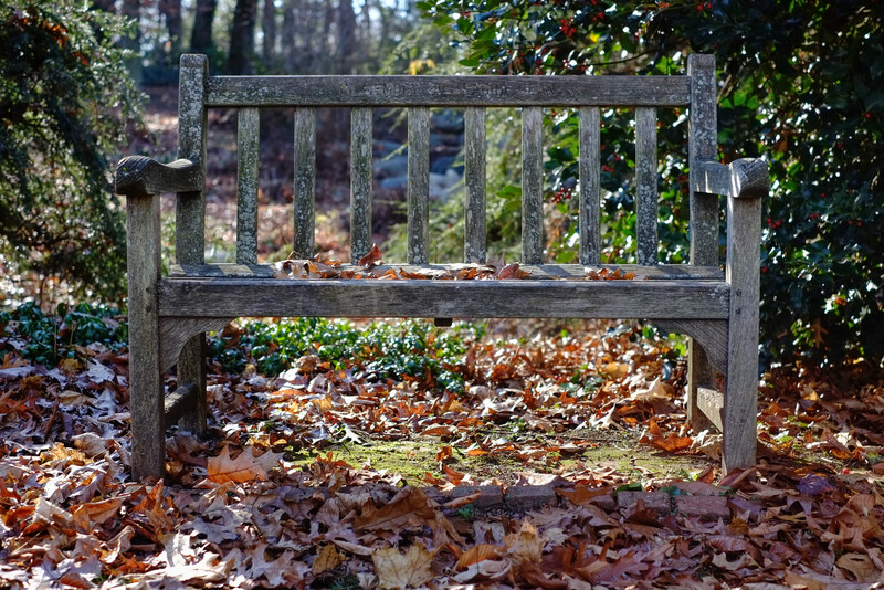 Fujifilm-X-Pro1-sample-image